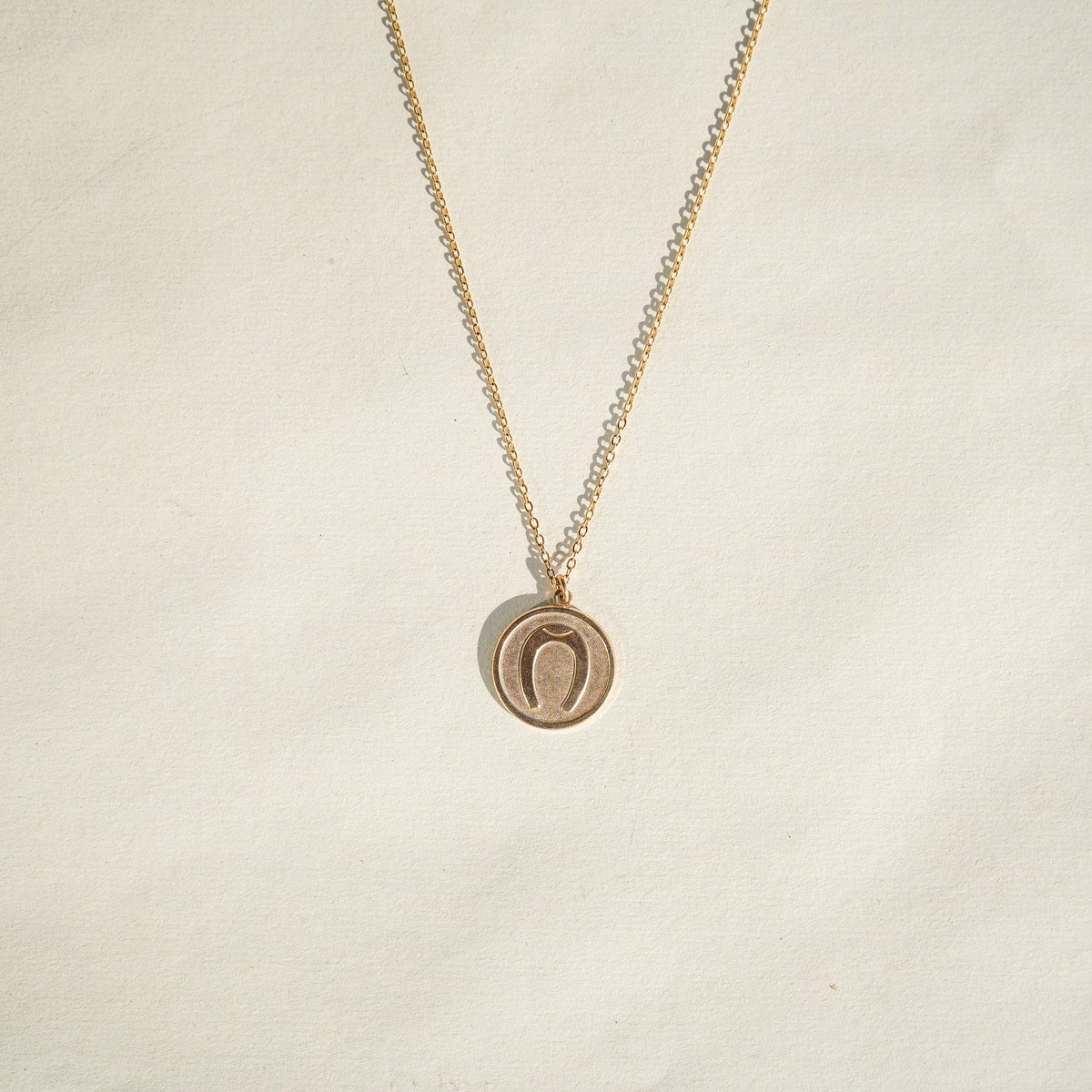 Horseshoe charm necklace - Twisted Silver
