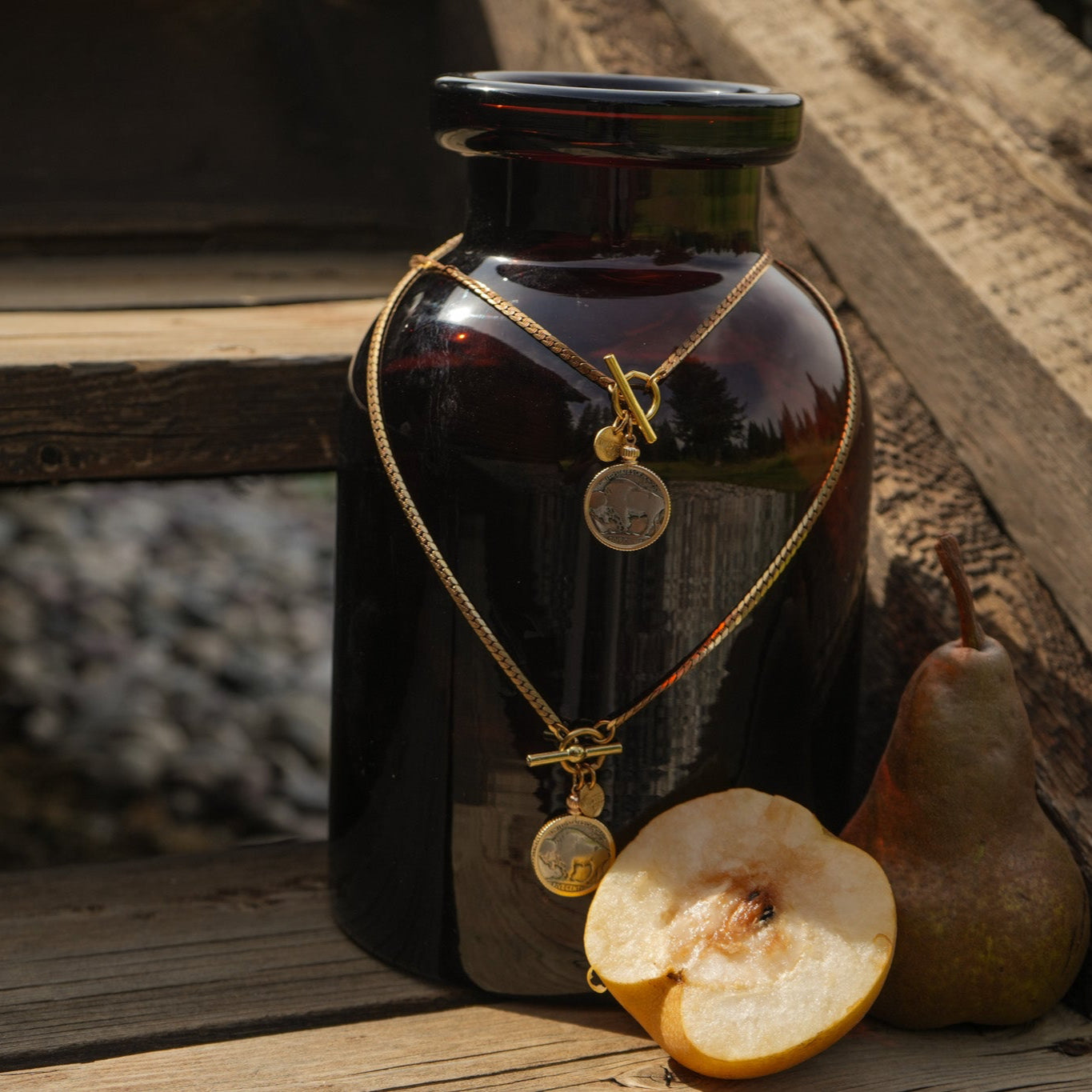 Buffalo nickel necklace