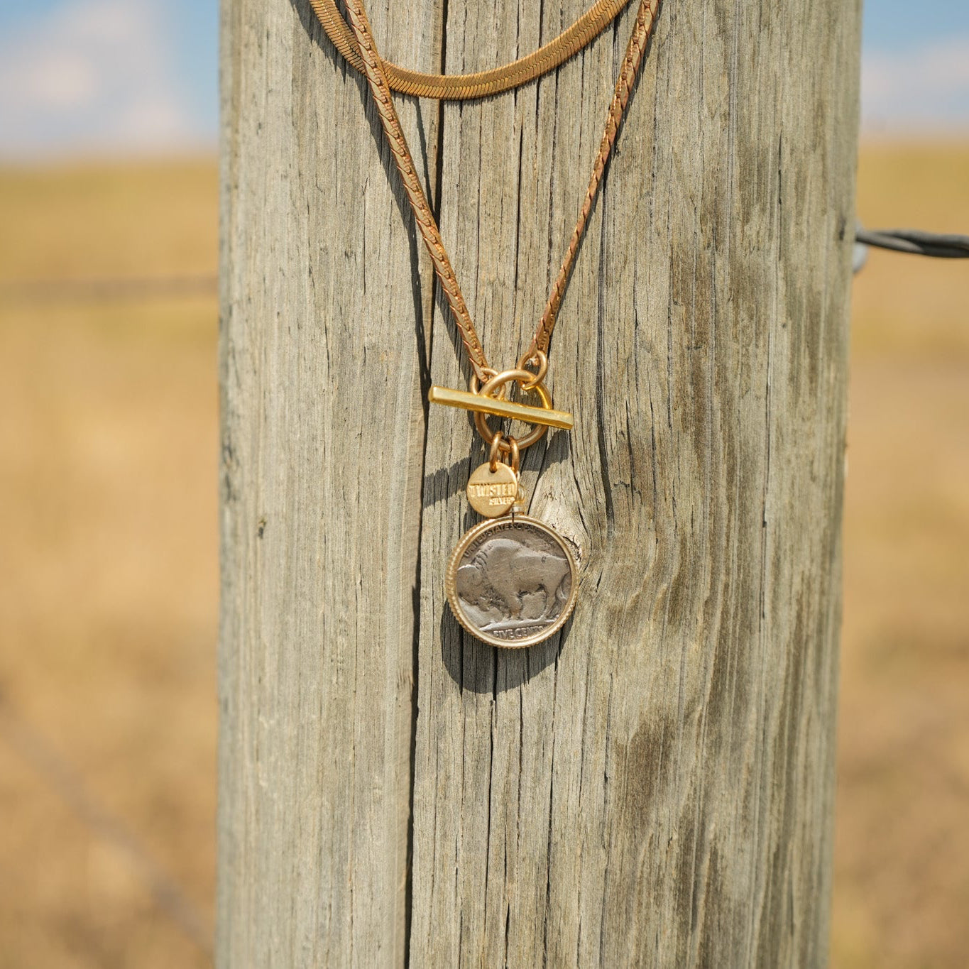 Buffalo nickel necklace